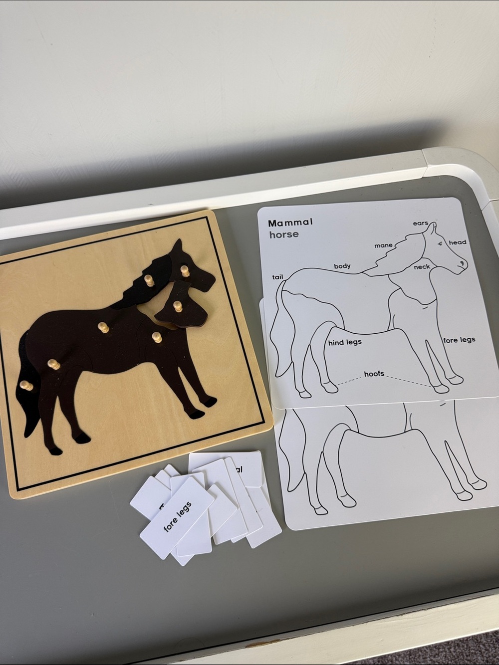 Montessori Wooden Horse Puzzle with Silhouette - Educational